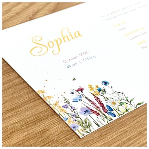 Geboortekaartjes, Doopsuiker en geboortebedankjes West-Vlaanderen - Ieper - Roeselare - Menen - Kortrijk - Zonnebeke - Kortemark - Diksmuide - Brugge - Zonnebeke - Moorslede, Oostrozebeke, Staden, Wervik, Wevelgem, Menen, ... snel en goedkoop