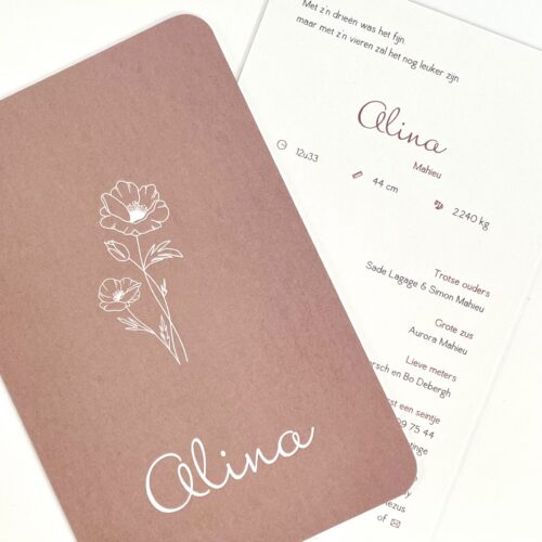 Geboortekaartjes, Doopsuiker en geboortebedankjes West-Vlaanderen - Ieper - Roeselare - Menen - Kortrijk - Zonnebeke - Kortemark - Diksmuide - Brugge - Zonnebeke - Moorslede, Oostrozebeke, Staden, Wervik, Wevelgem, Menen, ... snel en goedkoop